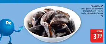 Marktkauf Miesmuscheln Angebot