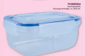 Marktkauf Frischhaltedose Angebot