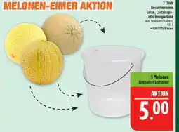 Marktkauf Dessertmelonen galia Angebot
