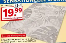 Segmüller Outdoor-teppich „esterni“ Angebot