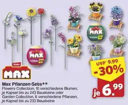 Famila Nord West MAX Max Pflanzen-Sets Angebot