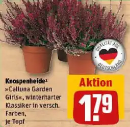 REWE Knospenheide Angebot