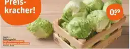 tegut Tegut eisbergsalat Angebot