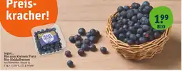 tegut Bio-heidelbeeren Angebot