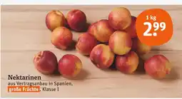 tegut Nektarinen Angebot