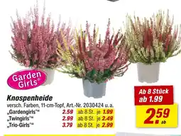 toom Baumarkt Knospenheide Angebot