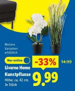 Lidl LIVARNO home Kunstpflanze Angebot