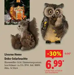 Lidl LIVARNO home Deko-Solarleuchte Angebot