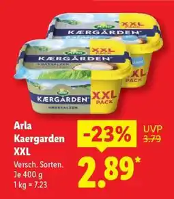 Lidl Arla Kærgården XXL Angebot