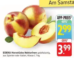 Edeka EDEKA Herzstücke Nektarinen Angebot