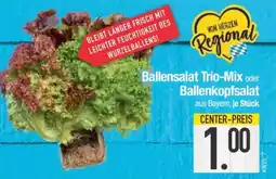 Edeka Ballensalat Trio-Mix oder Ballenkopfsalat Angebot