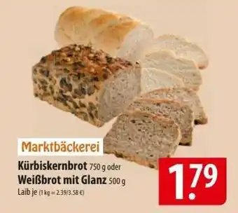 Famila Nord Ost Kürbiskernbrot oder Weißbrot mit Glanz Angebot