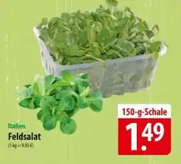 Famila Nord Ost Feldsalat Angebot