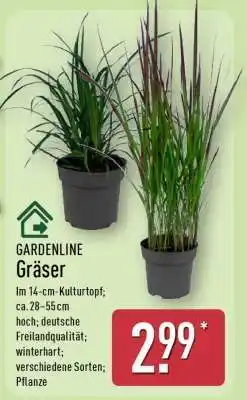 Aldi Nord GARDENLINE Gräser Angebot