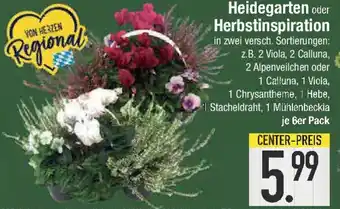 E-Center Heidegarten oder Herbstinspiration Angebot
