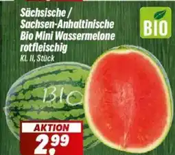 Simmel Sächsische/ Sachsen-Anhaltinische Bio Mini Wassermelone Angebot