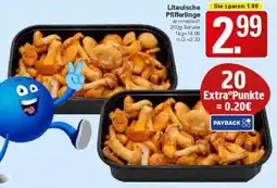 WEZ Litauische Pfifferlinge Angebot