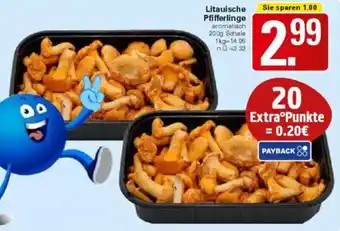 WEZ Litauische Pfifferlinge Angebot