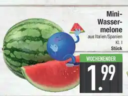 E-Center Mini- Wasser- melone Angebot
