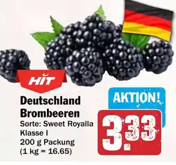 HIT Deutschland Brombeeren Angebot