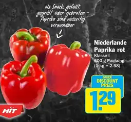 HIT Niederlande Paprika rot Angebot