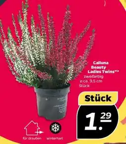 NETTO Calluna Beauty Ladies Twins Angebot
