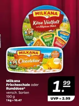 NETTO Milkana Frischeschale oder Runddose Angebot