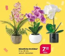 NETTO Künstliche Orchidee Angebot