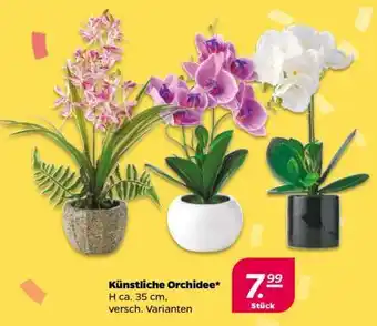 NETTO Künstliche Orchidee Angebot