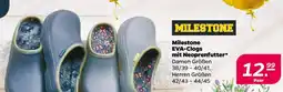 NETTO Milestone EVA-Clogs Angebot