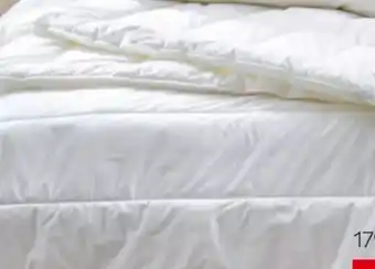 XXXLutz Centa-Star Ganzjahresbett Vegan Dream Angebot