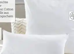 XXXLutz Centa-Star Kopfkissen Vegan Dream Angebot