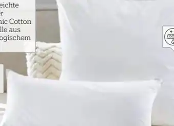 XXXLutz Centa-Star Kopfkissen Vegan Dream Angebot