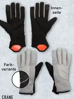 Aldi Nord Crane Damen Radhandschuhe Angebot