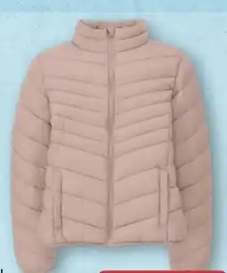 Aldi Nord Up2Fashion Damen Leichtsteppjacke Angebot