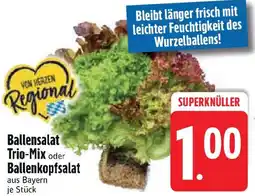 Edeka Ballensalat Trio-Mix oder Ballenkopfsalat Angebot