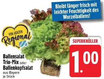 Edeka Ballensalat Trio-Mix oder Ballenkopfsalat Angebot