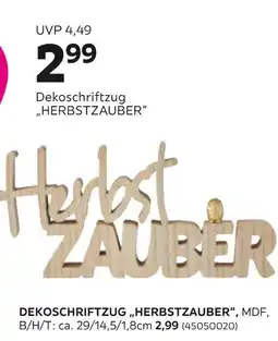 Mömax Dekoschriftzug „herbstzauber“ Angebot
