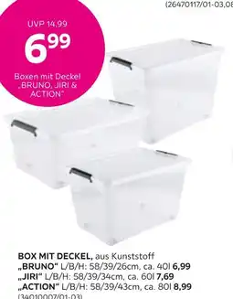 Mömax Box mit deckel Angebot