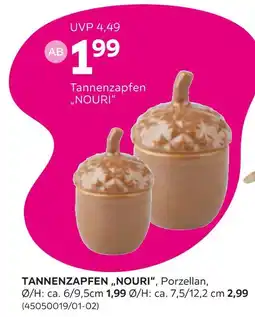 Mömax Tannenzapfen „nouri“ Angebot