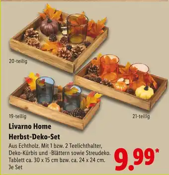 Lidl Livarno home herbst-deko-set 19-teilig Angebot