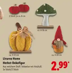 Lidl Livarno home herbst-dekofigur kürbis Angebot