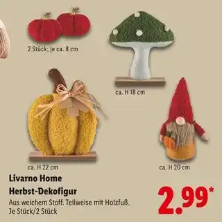 Lidl Livarno home herbst-dekofigur kürbis Angebot
