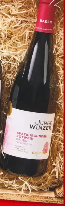 Lidl Junge winzer spätburgunder rotwein baden trocken Angebot