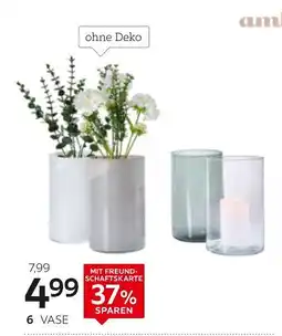 XXXLutz Ambia home vase Angebot