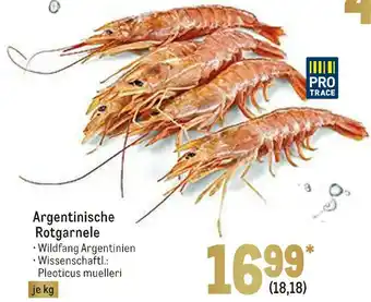 METRO Pro trace rotgarnele Angebot