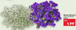 Kaufland Blumen-Beiwerk Angebot