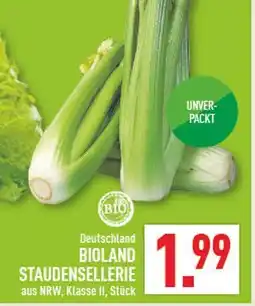 Marktkauf Bioland staudensellerie Angebot