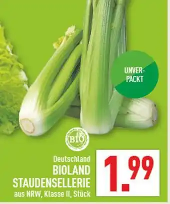 Marktkauf Bioland staudensellerie Angebot