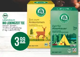 Marktkauf Lebensbaum bio lebenszeit tee Angebot